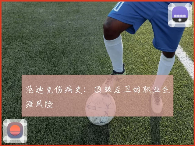 范迪克伤病史：顶级后卫的职业生涯风险
