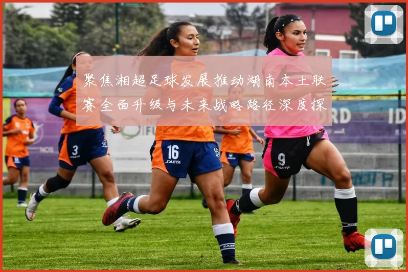 聚焦湘超足球发展推动湖南本土联赛全面升级与未来战略路径深度探析