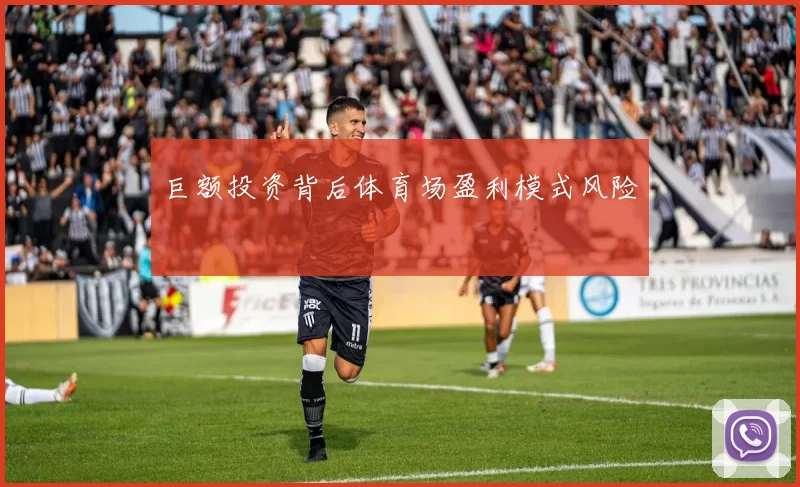 巨额投资背后体育场盈利模式风险