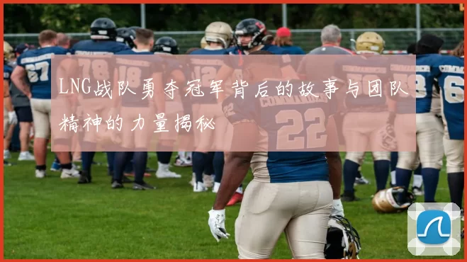 LNG战队勇夺冠军背后的故事与团队精神的力量揭秘